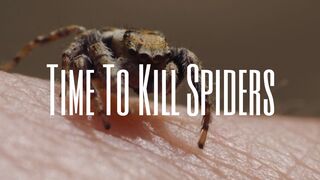 Time To Kill Spiders — Stateless Warrior